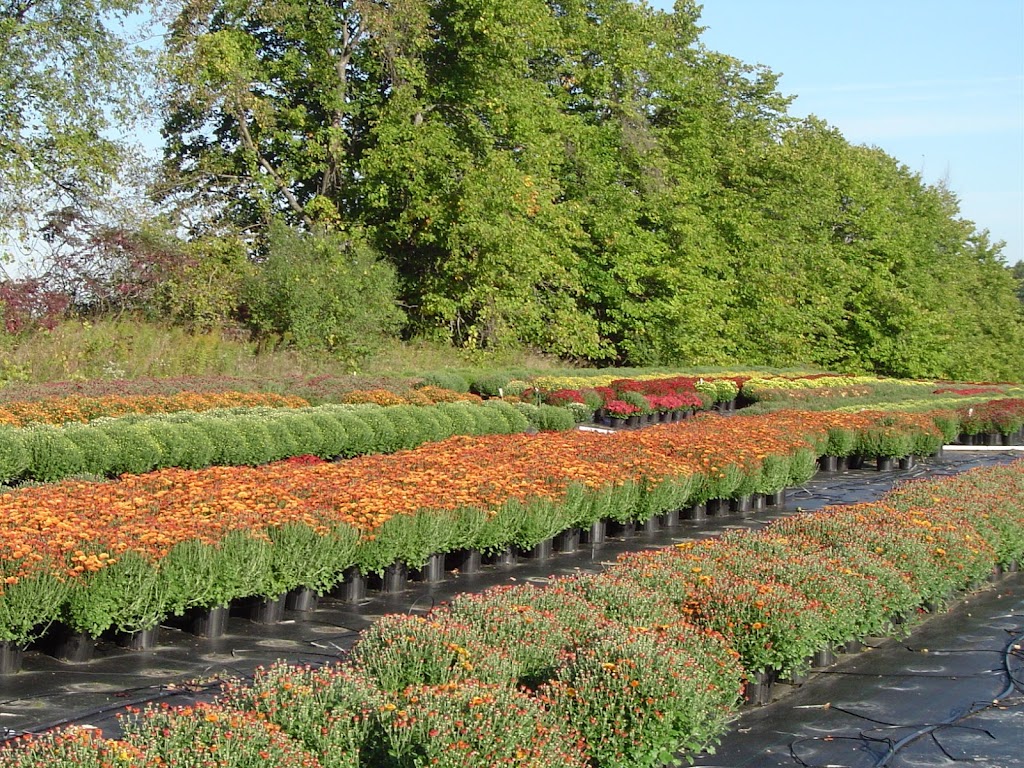 HillTop Greenhouse & Farms | 8996 W Liberty Rd, Ann Arbor, MI 48103, USA | Phone: (734) 302-4233