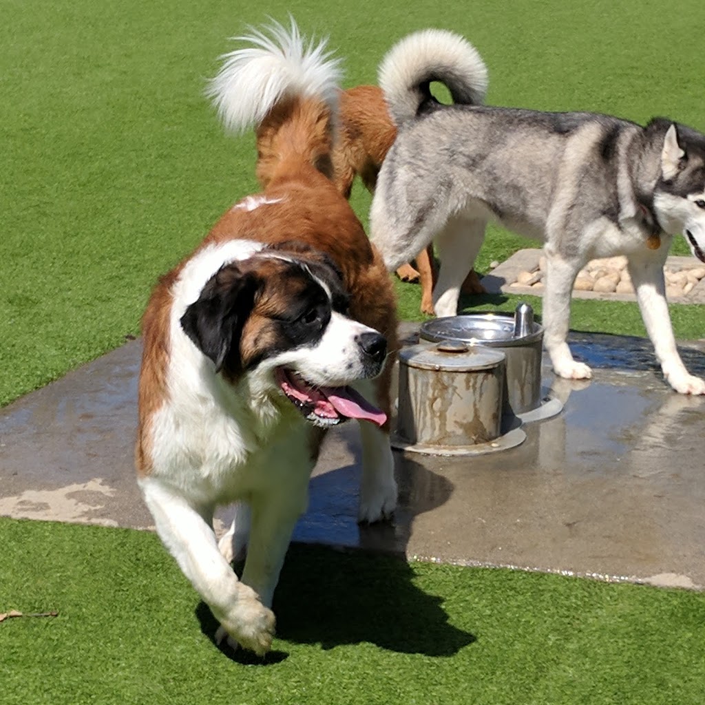 Barker Ranch Dog Park | 25650 Baffin Bay Dr, Lake Forest, CA 92630, USA | Phone: (949) 461-3452