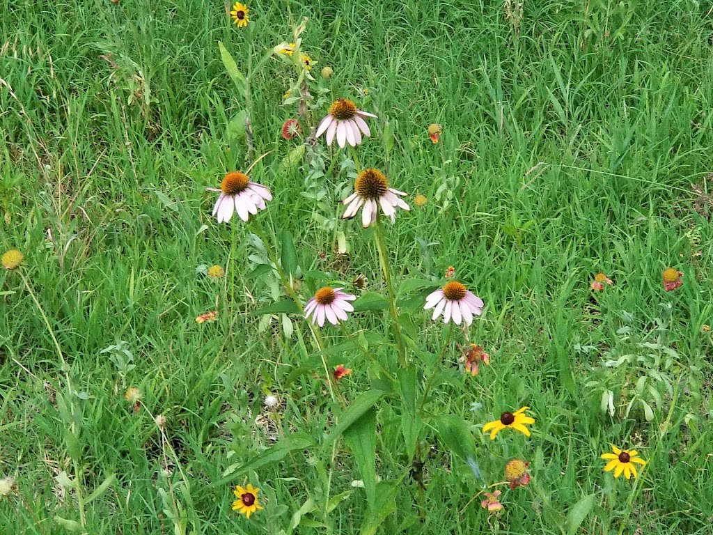 Wildlife Encounter Nature Trail | 600 Spinks Rd, Flower Mound, TX 75028, USA | Phone: (972) 874-6300