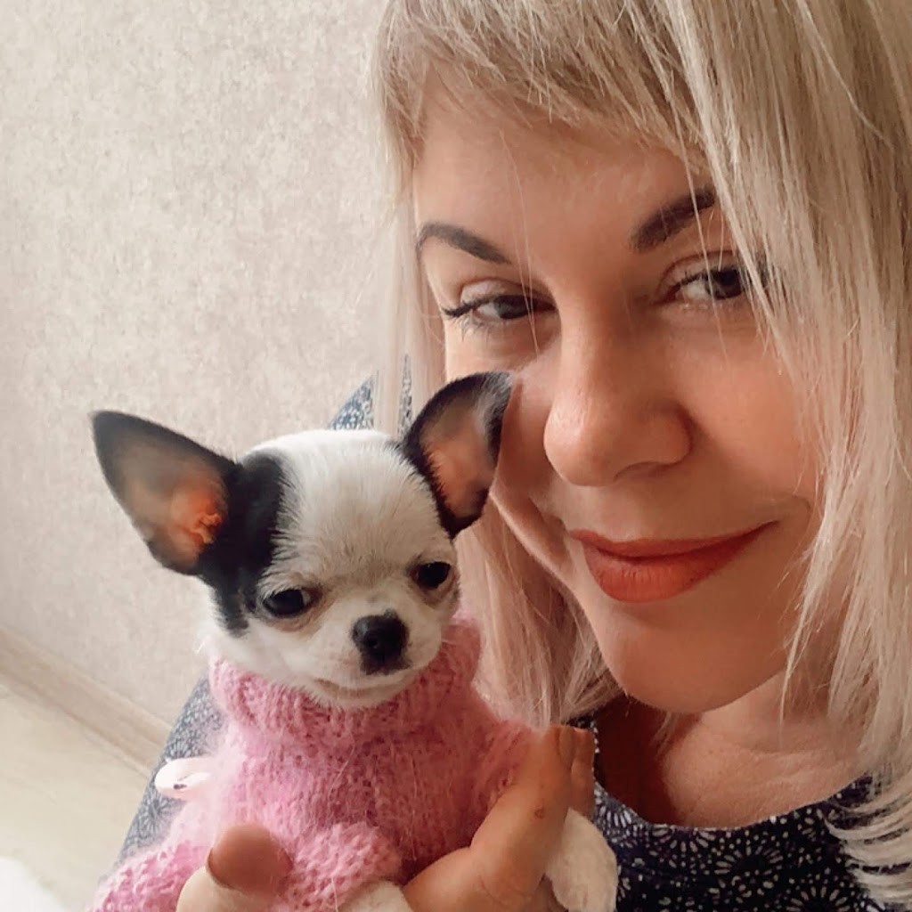 Jays Home Of Chihuahuas | 2104 Savannah Terrace SE, Washington, DC 20020, USA | Phone: (202) 978-8737