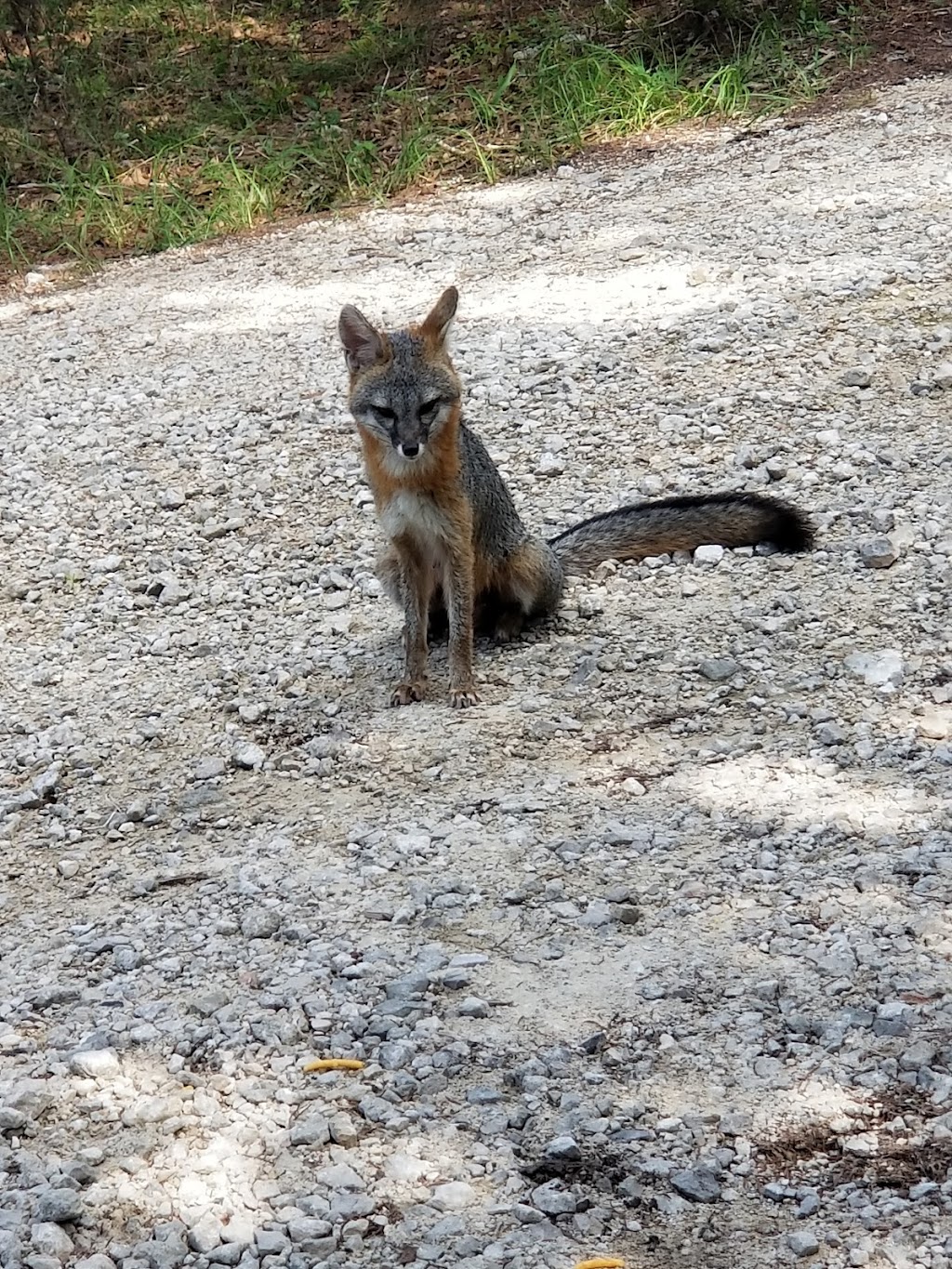 Priddy Meadow RV Park | 1155 County Rd 1492, Wimberley, TX 78676, USA | Phone: (512) 847-6811