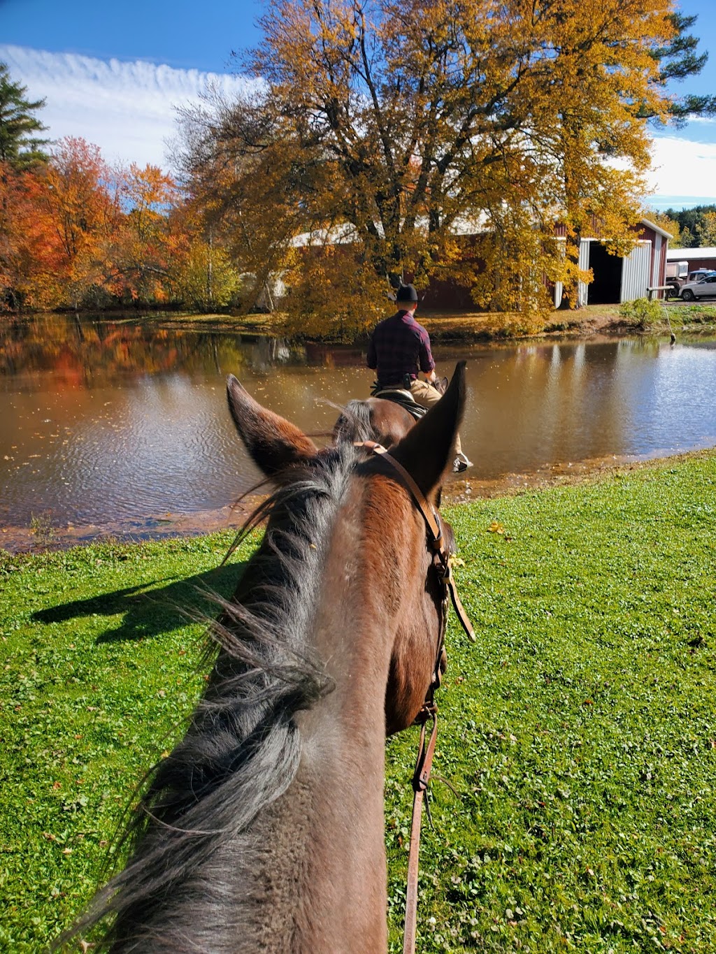 Catskill Equestrian Center | 118 Castle Rd, Catskill, NY 12414, USA | Phone: (518) 925-0095