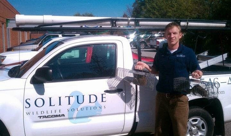 Solitude Pest & Wildlife Solutions | 4167 Wyndam Hill Dr, Suwanee, GA 30024, USA | Phone: (678) 546-4031