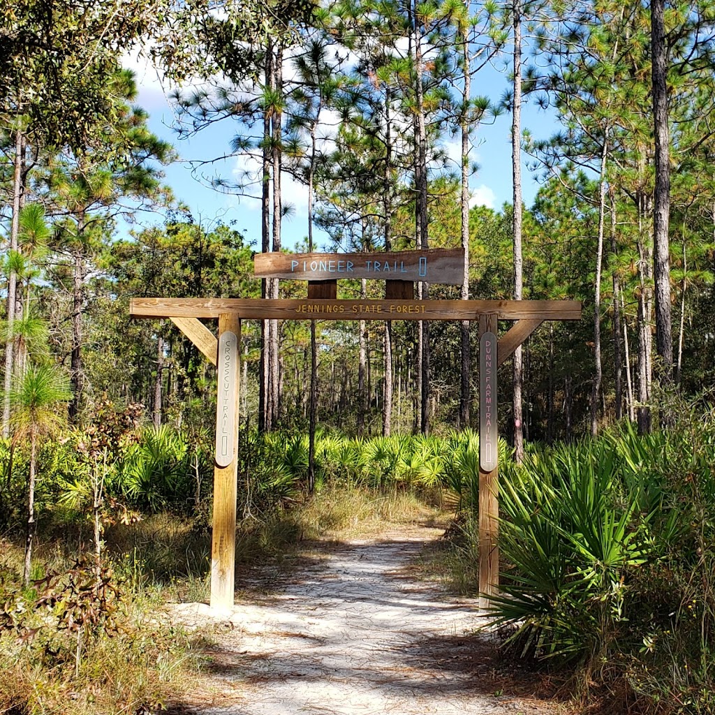 Jennings State Forest | 1337 Long Horn Rd, Middleburg, FL 32068, USA | Phone: (904) 291-5530