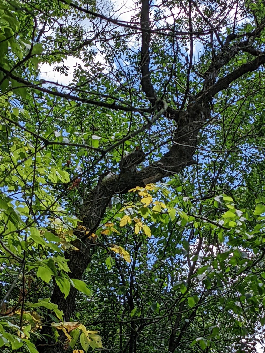 Rice Creek West Regional Trail Corridor | 7000 Central Ave N E, Fridley, MN 55432, USA | Phone: (763) 324-3300