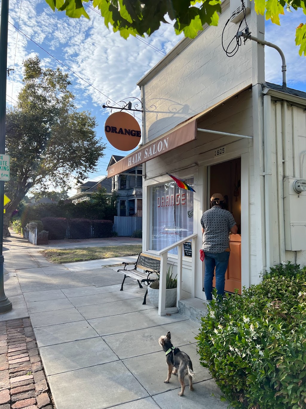 Wild Orange | 1825 Encinal Ave, Alameda, CA 94501, USA | Phone: (510) 521-1998