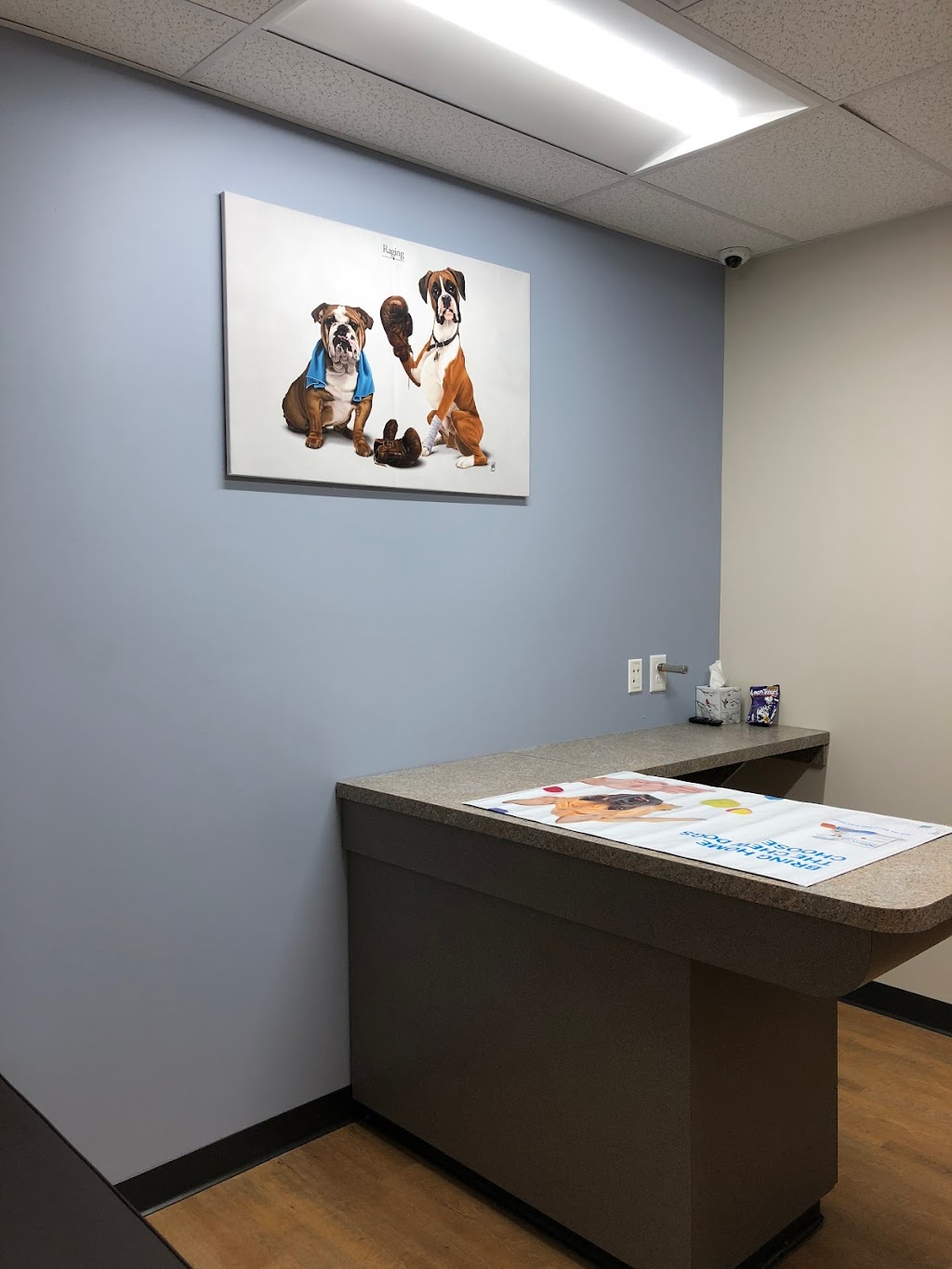 Monroe Family Pet Hospital | 3301 Heritage Green Dr, Monroe, OH 45050, USA | Phone: (513) 539-8737