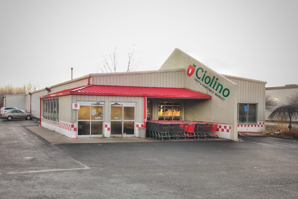 Ciolino Fruit & Vegetable Market | 6750 Lewis Ave, Temperance, MI 48182, USA | Phone: (734) 847-4140