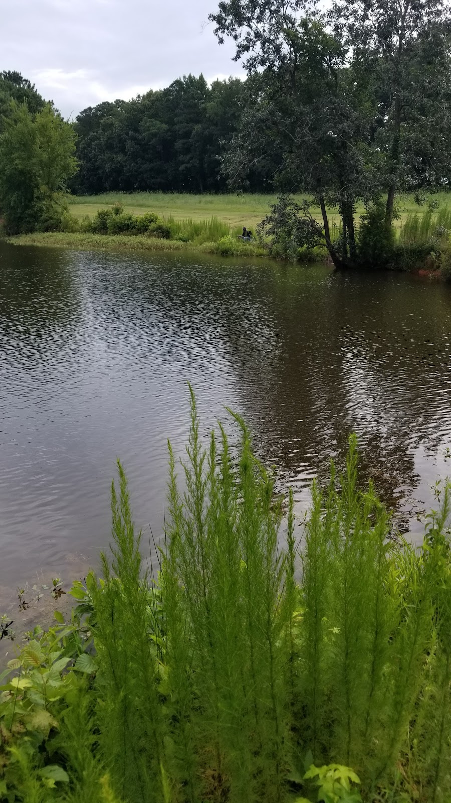 Langdons Fishing | 664 Cornwallis Rd, Garner, NC 27529, USA | Phone: (919) 779-0207
