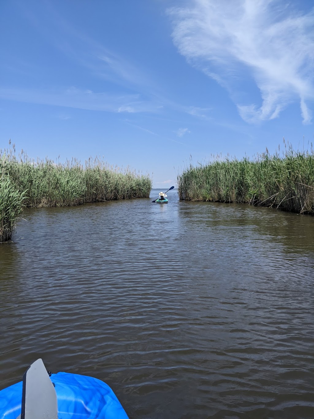 Princess Anne Wildlife Management Area Pocahontas Marsh Tract | Virginia Beach, VA 23457, USA | Phone: (757) 323-1581