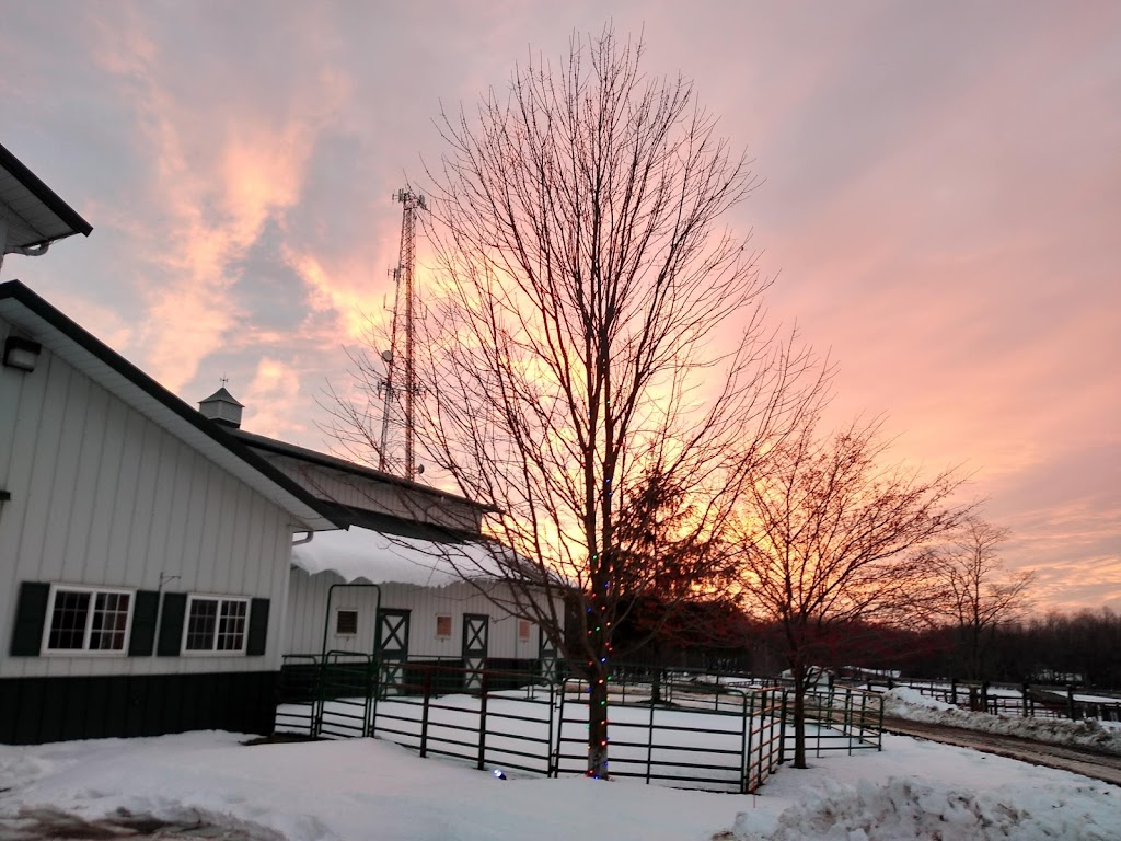 Legacy Equestrian Center | 7909 Sherman Rd, Chesterland, OH 44026, USA | Phone: (440) 479-4151