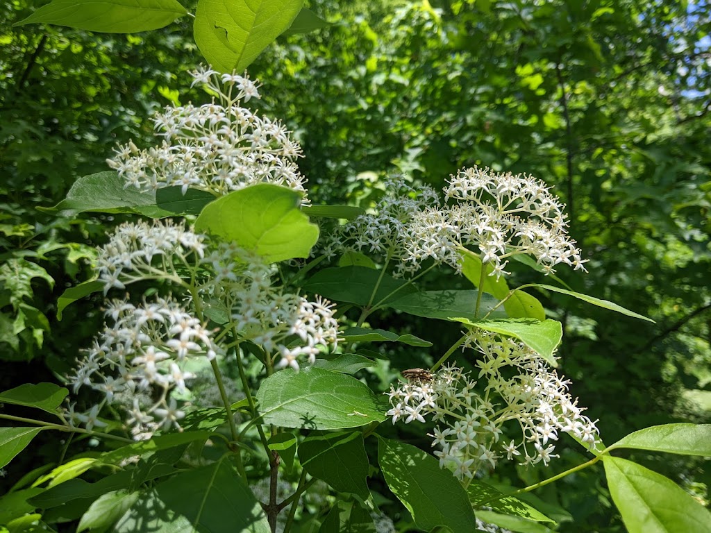 Mentor Marsh Nature Center | 5185 Corduroy Rd, Mentor, OH 44060, USA | Phone: (440) 257-0777