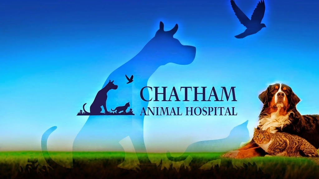 Chatham Animal Hospital | 105 Oceana Pl, Cary, NC 27513, USA | Phone: (919) 469-8114