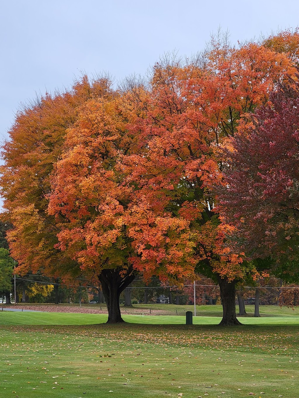 Turkeyfoot Lake Golf Links | 294 W Turkeyfoot Lake Rd, Akron, OH 44319, USA | Phone: (330) 644-5971