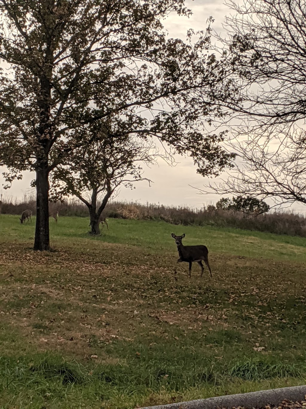 Edgar M. Queeny County Park | 550 Weidman Rd, St. Louis, MO 63131, USA | Phone: (314) 615-4386