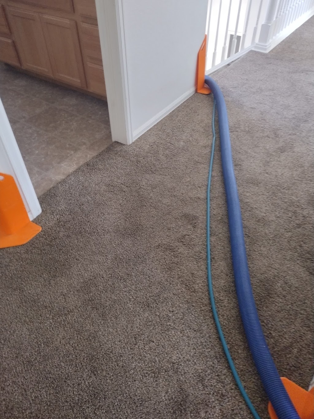 Master Clean Carpet | 4 Barrow Pl, Longmont, CO 80504, USA | Phone: (720) 297-7072