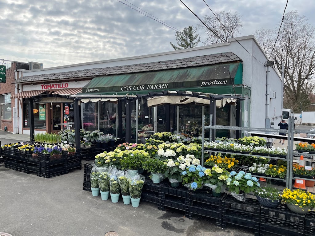 Ashley Farm Inc, Cos Cob Farm | 61 E Putnam Ave, Cos Cob, CT 06807, USA | Phone: (203) 629-2267