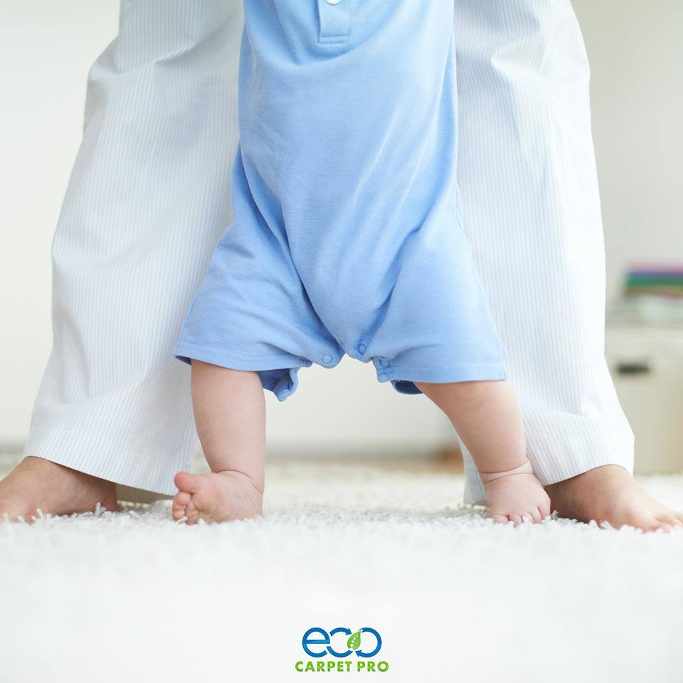 Eco Carpet Pro | 1108 Big Bethel Rd, Hampton, VA 23666, USA | Phone: (757) 809-2228