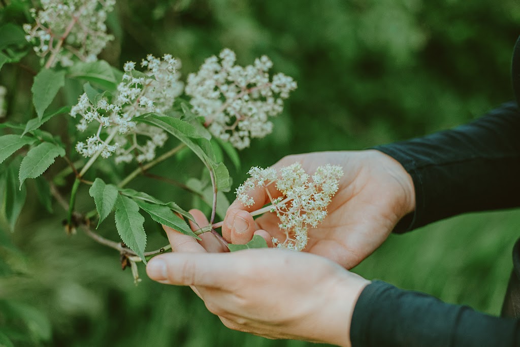 Hearth Natural Medicine | 112 Kala Square Pl Suite 2, Port Townsend, WA 98368 | Phone: (360) 390-5844