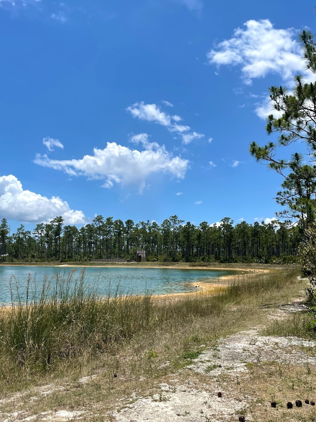 Long Pine Key Campground | Homestead, FL 33034, USA | Phone: (305) 242-7873