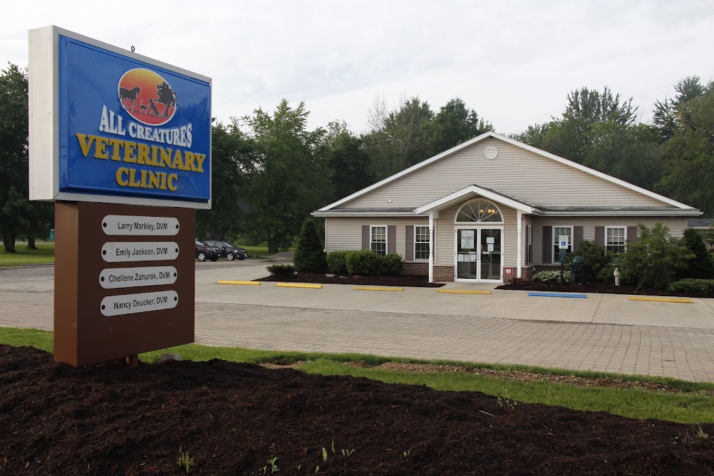 All Creatures Veterinary Clinic & Lodge | 12545 Sheets Rd, Rittman, OH 44270, USA | Phone: (330) 925-4910