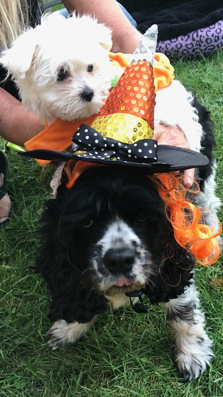 Kozy Kampground in 5134 It's It Rd, Celina, OH 45822, USA