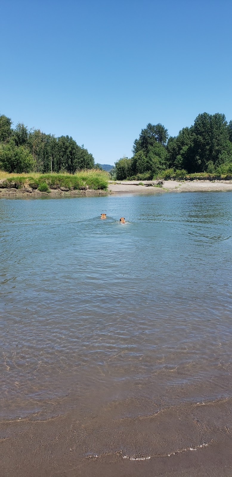 Sandy River Delta | Thousand Acres Rd, Troutdale, OR 97060, USA | Phone: (503) 695-2372