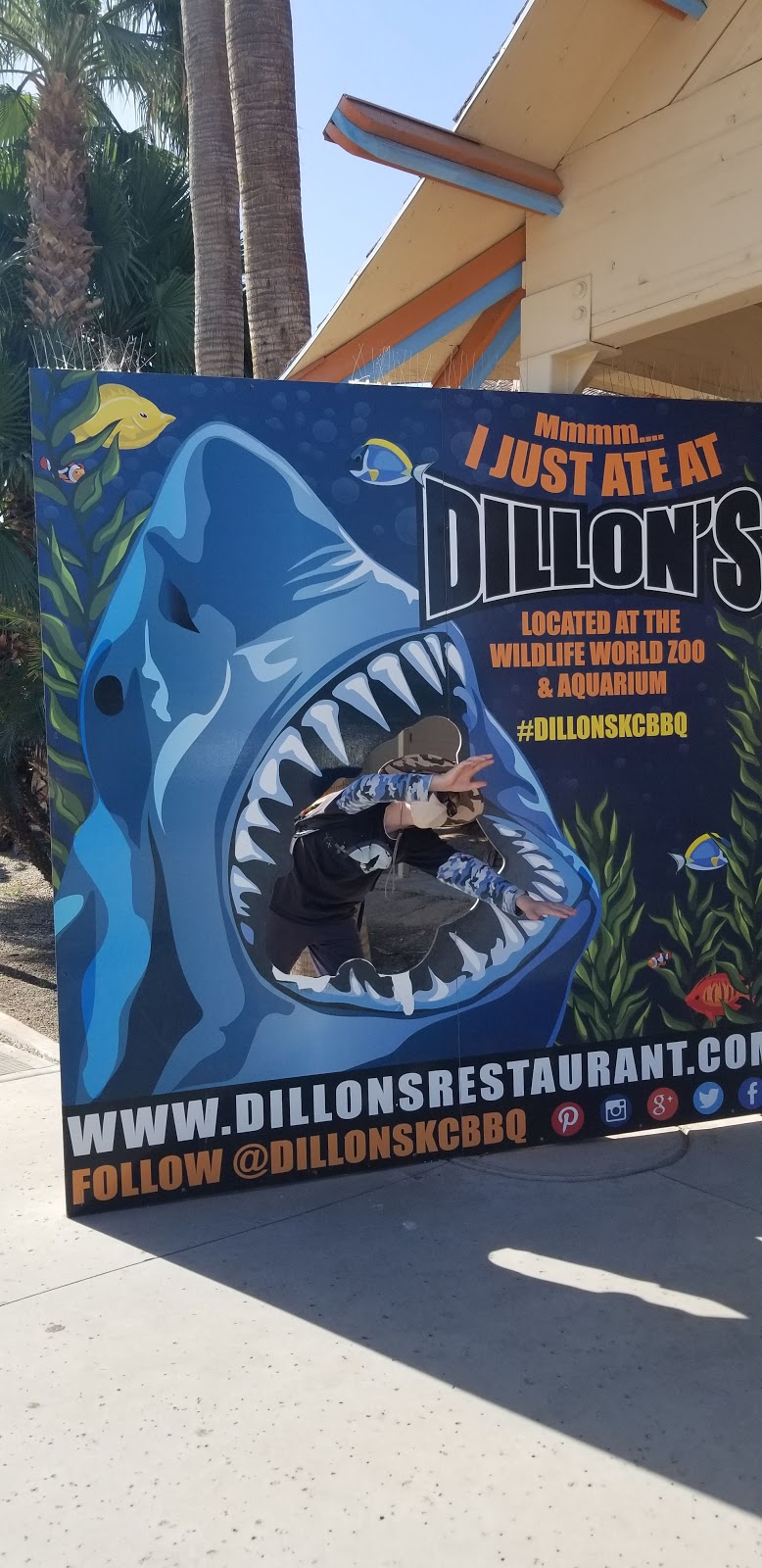 Dillons KC BBQ at Wildlife World Zoo | 16335 W Northern Ave, Litchfield Park, AZ 85340 | Phone: (623) 535-4249