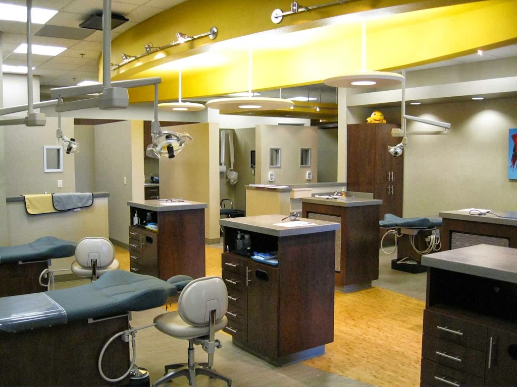 Kunkel Jeffrey R DDS | 7525 N Cedar Ave STE 105, Fresno, CA 93720, USA | Phone: (559) 439-6600