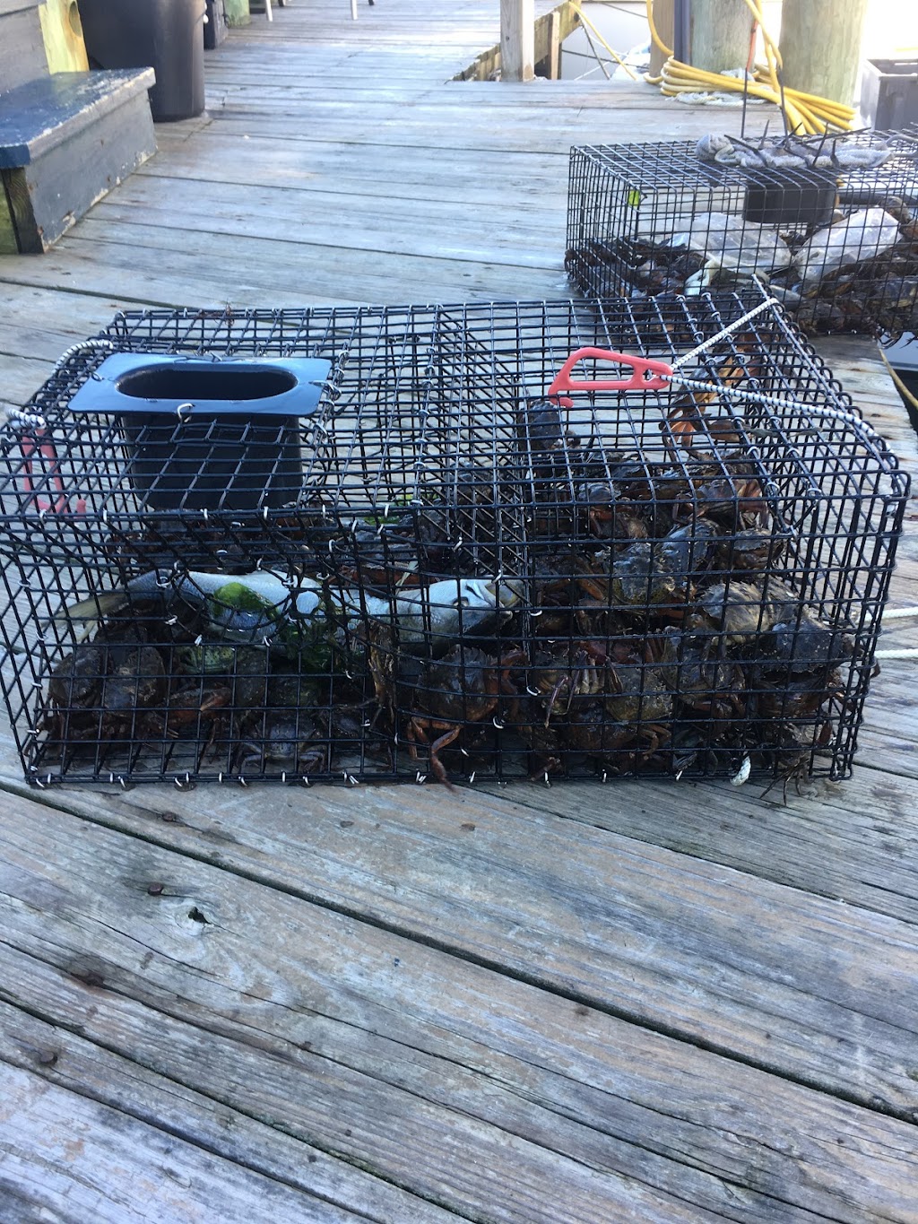 Custom Crab Traps LLC | 1 Daly Pl, Neptune City, NJ 07753, USA | Phone: (732) 882-5810