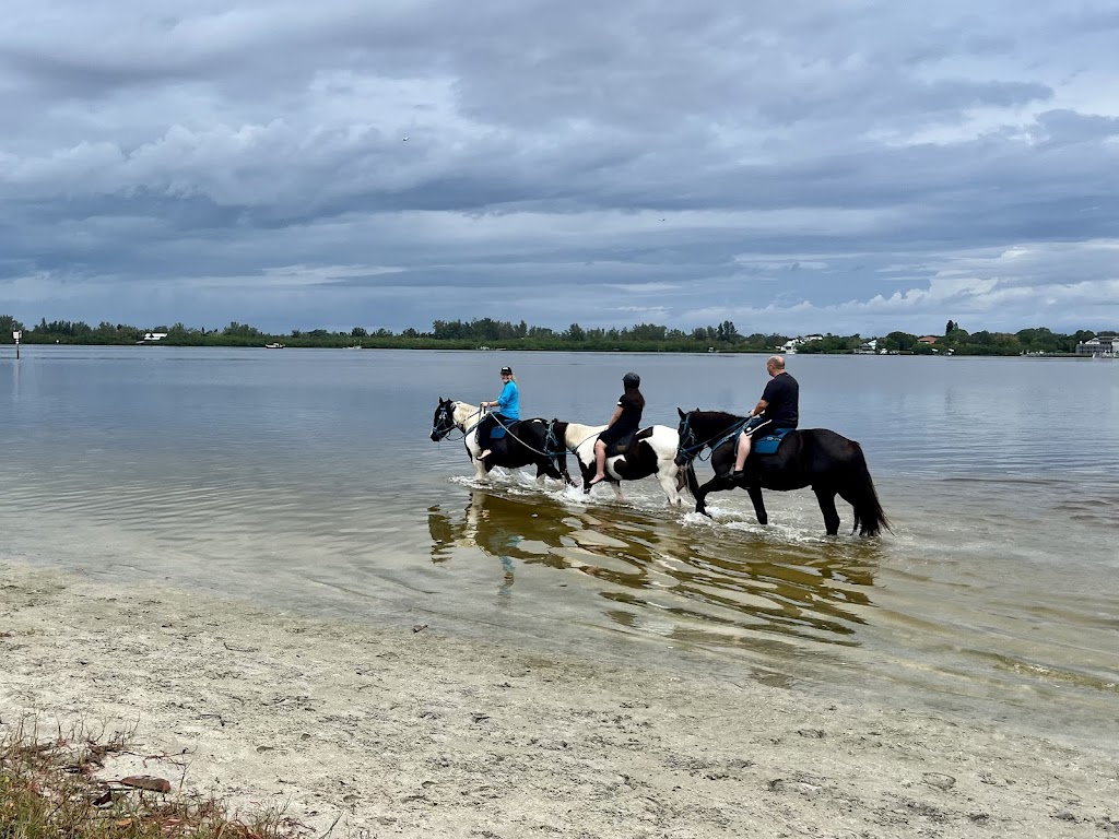 Carousel Sea Horses | 8400 Manatee Ave W, Bradenton, FL 34209, USA | Phone: (863) 837-4866