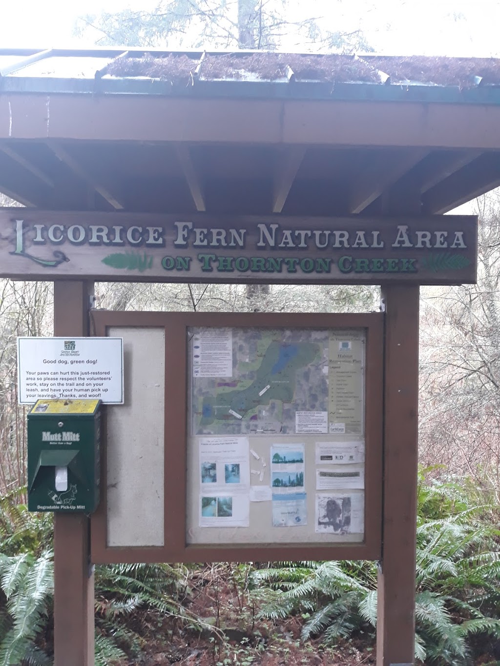 Licorice Fern Natural Area | 1100 NE 130th St, Seattle, WA 98125, USA | Phone: (206) 227-3864