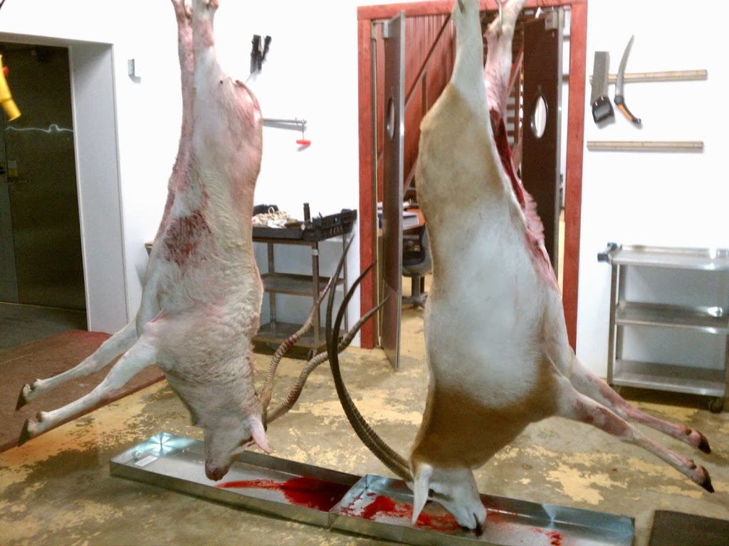 Rockwall Deer Processing | 2991 State Hwy 66 suite 200 suite 200, Rockwall, TX 75087, USA | Phone: (972) 722-8006