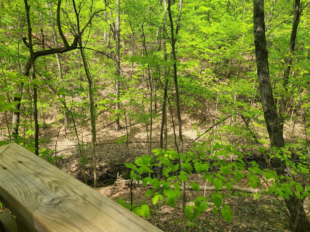 West Bloomfield Woods Nature Preserve | 4655 Arrowhead Rd, West Bloomfield Township, MI 48323, USA | Phone: (248) 451-1900