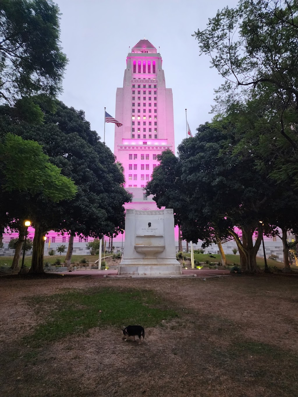 City Hall Park Center | 200 N Main St, Los Angeles, CA 90012, USA | Phone: (213) 972-0500