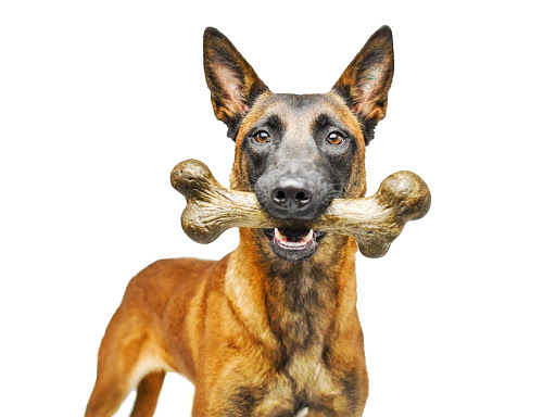 Pet Qwerks, Inc. | 9 Studebaker, Irvine, CA 92618, USA | Phone: (949) 916-3733