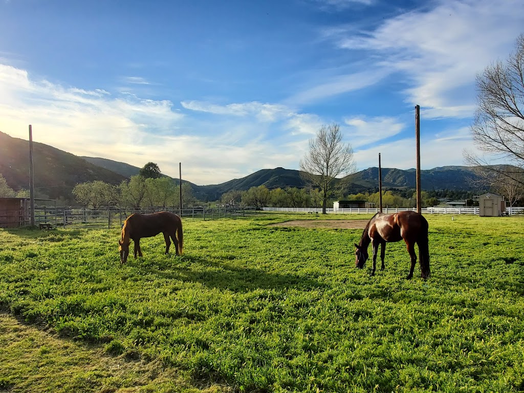 San Diego Horse Trail Riding | 404 Box, Pine Valley, CA 91962, USA | Phone: (619) 831-2793