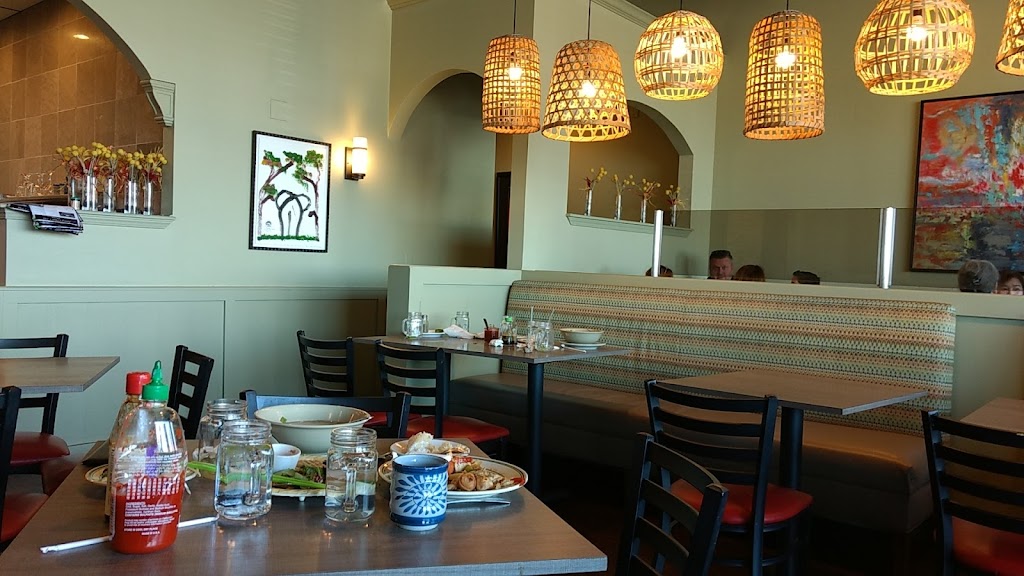 Saucys Thai & Pho - Plano | 4152 Spring Creek Pkwy, Plano, TX 75024, USA | Phone: (972) 388-7650