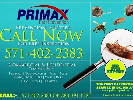 Primax Pest Control Services | 4109 12th St NE, Washington, DC 20017, USA | Phone: (571) 402-2383