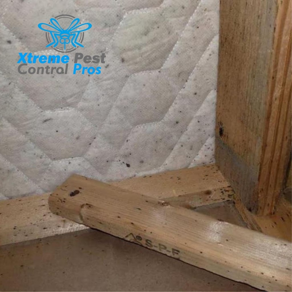 Xtreme Pest Control | 1147 Brookview Cir, Pickerington, OH 43147, USA | Phone: (740) 660-3671