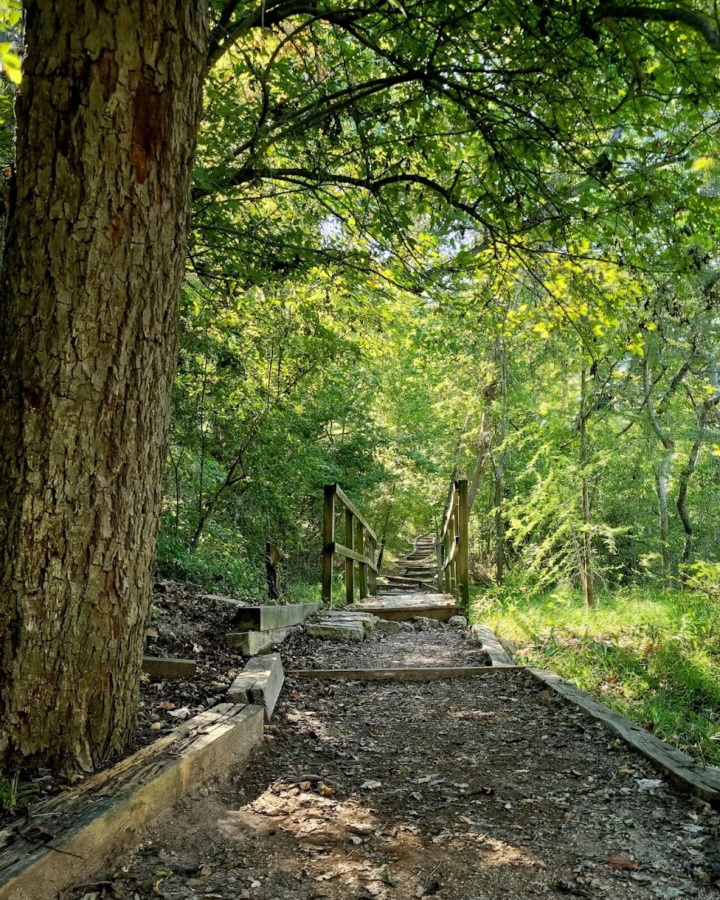 Guadalupe River Access Trail | 16510 S Access Rd, Canyon Lake, TX 78133, USA | Phone: (830) 964-3341