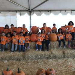 Grow Smart Childrens Academy | 8735 Jamacha Blvd, Spring Valley, CA 91977, USA | Phone: (619) 479-7577