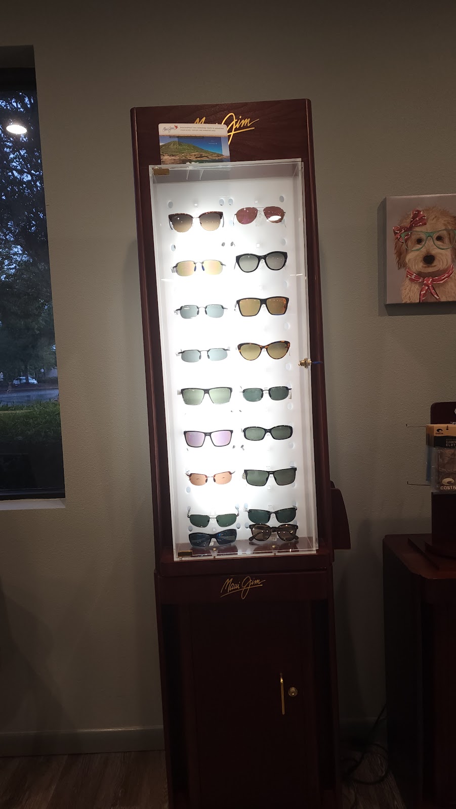 Azzue Optometry | 8603 Easthaven Ct, New Port Richey, FL 34655, USA | Phone: (727) 844-3223