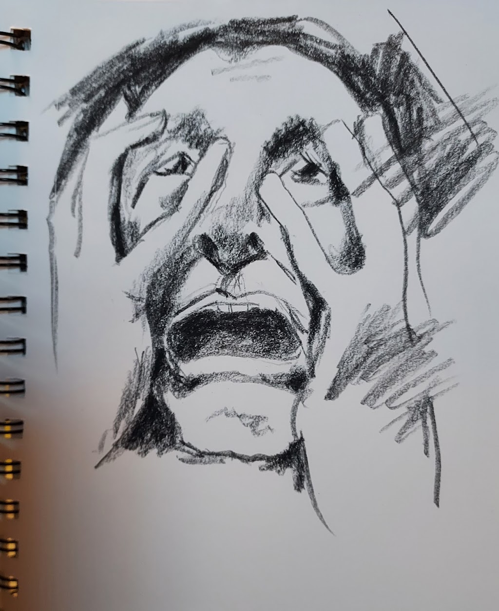 New Growth Gallery | 319 W Main St, New Alexandria, PA 15670, USA | Phone: (724) 668-7527