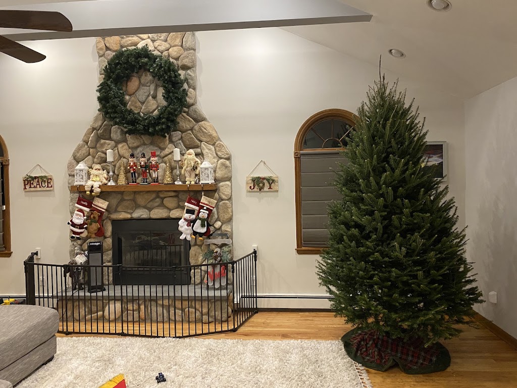Christmas Tree Nursery Farm | 399 Atlantic Ave, Oceanside, NY 11572, USA | Phone: (516) 543-7240