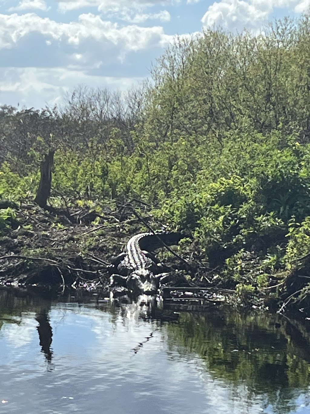 Marsh Landing Adventures / Orlando Airboat Tours | 2830 Neptune Rd, Kissimmee, FL 34744, USA | Phone: (407) 572-3561