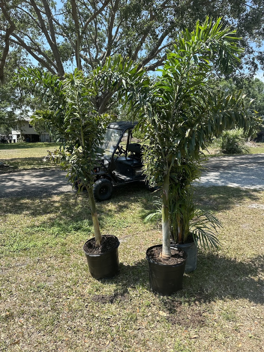 Lances Landscape Supply & Site Development | 43rd St E, Bradenton, FL 34208, USA | Phone: (941) 465-5253