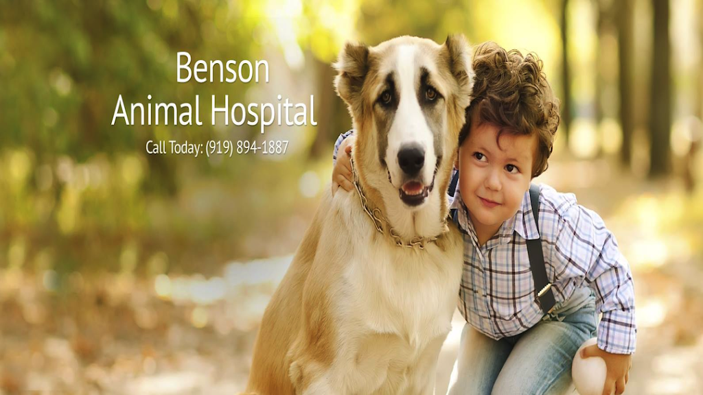 Benson Animal Hospital | 1625 NC-50, Benson, NC 27504, USA | Phone: (919) 894-1887