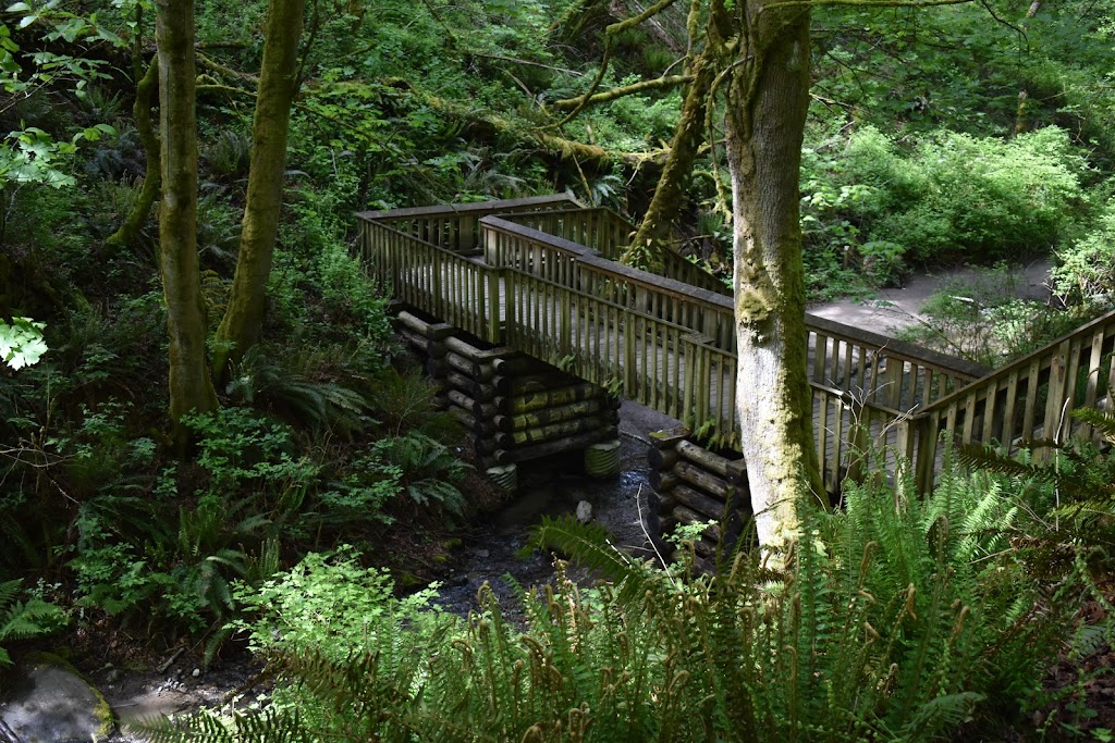 Dash Point State Park | 5700 SW Dash Point Rd, Federal Way, WA 98023, USA | Phone: (253) 661-4955