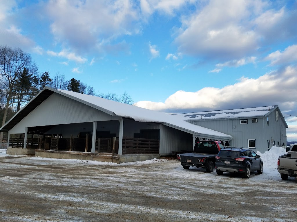 Northampton Co-Op Auction | 353 Long Plain Rd, Whately, MA 01093, USA | Phone: (413) 665-8774